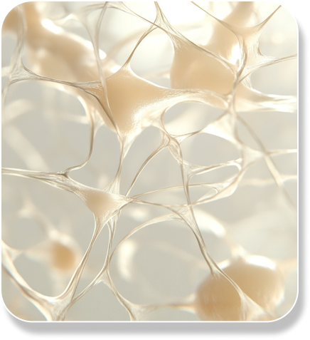 슬라이더 이미지 1