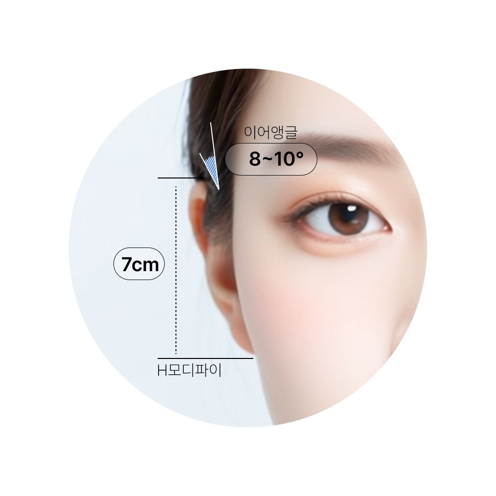 이상적인 귀 길이